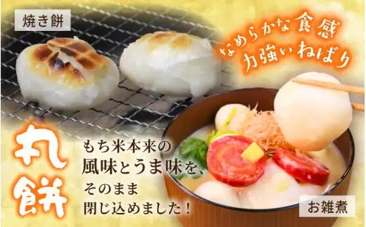 【岡山県真庭市】勝山の力米 丸餅 360g（約11個）×6袋 / 餅 もち 丸もち 個包装 食べ切りサイズ 長期保存 真庭産 ヒメノモチ ひめのもち 【mwgk004-01】