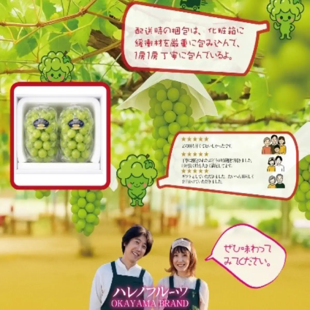【2回定期便】木熟ぶどう ハレノシャイン シャインマスカット プレミアム 晴王 １房( 800g以上)2回お届け | シャインマスカット 晴王 ハレノシャイン 木熟ぶどう プレミアム 800g以上 1房 岡山県産 ぶどう 葡萄 大房 高糖度 甘い 種なし 皮ごと食べられる フルーツ 果物 人気 産地直送