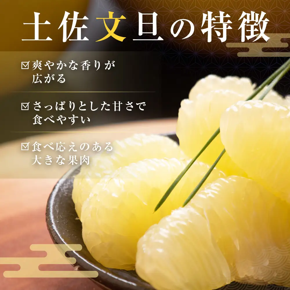 先行予約 訳あり 土佐文旦 家庭用 約5kg 約8～15玉 M～5L混合サイズ 高知県産