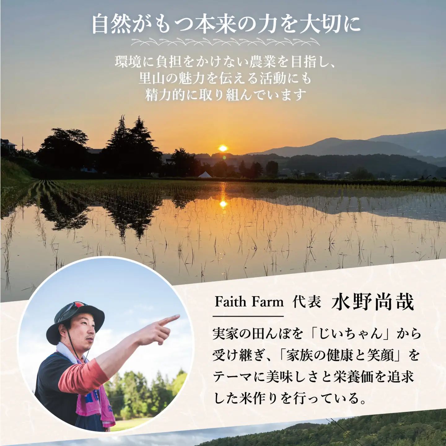 【新米予約】＼ 2027年2月より ／ 極上のコシヒカリ 七〇八米（なおやまい）　【黒】定期便 10kg×3回 (By-012-2)