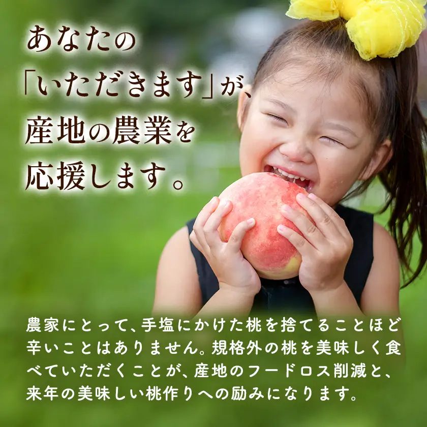 桃 訳あり お助け桃 約1.2kg