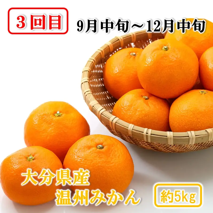 大分県産 旬のフルーツ定期便（全4回）果物 詰合せ 数量限定 ブルーベリー シャインマスカット みかん いちご_2717R