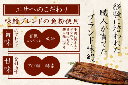 鰻丼の素 計2.5尾使用 職人手焼き 鰻 うなぎ C348-2311-60