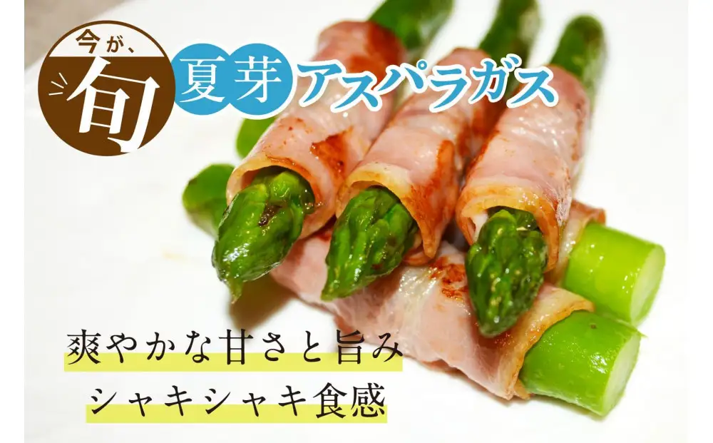 【2026年6月頃発送】【朝採り】夏芽アスパラガス 1kg（M-Sサイズ）福岡県産 2026年