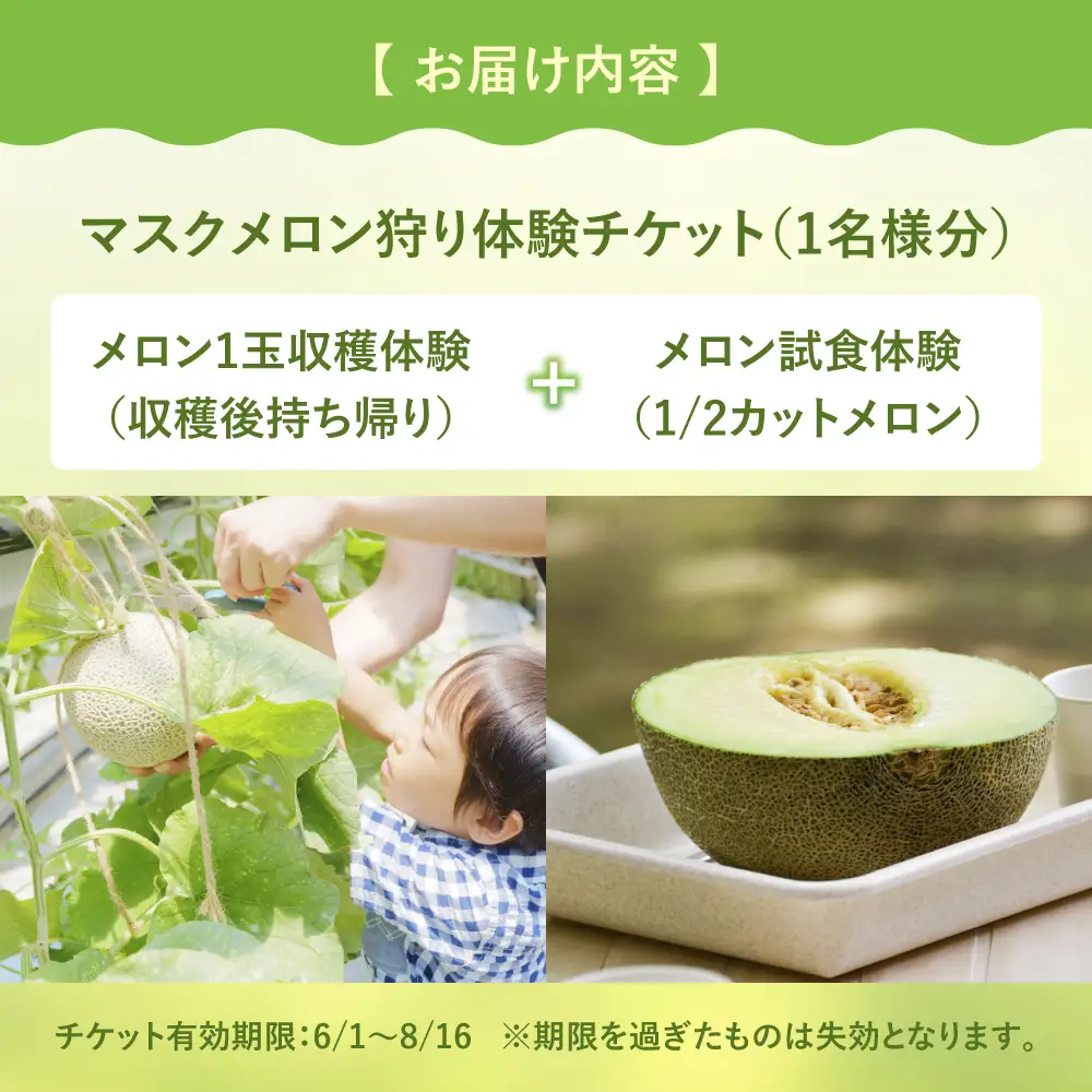 【先行予約】ニュー渥美観光　メロン狩り体験チケット メロン めろん 