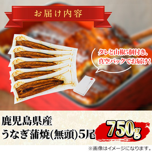 東串良町 うなぎ 蒲焼 (無頭)(5尾・計約750g・タレ、山椒付) 高級 ウナギ 鰻 国産 たれ 鹿児島 ふるさと 人気【アクアおおすみ】【0294315a】