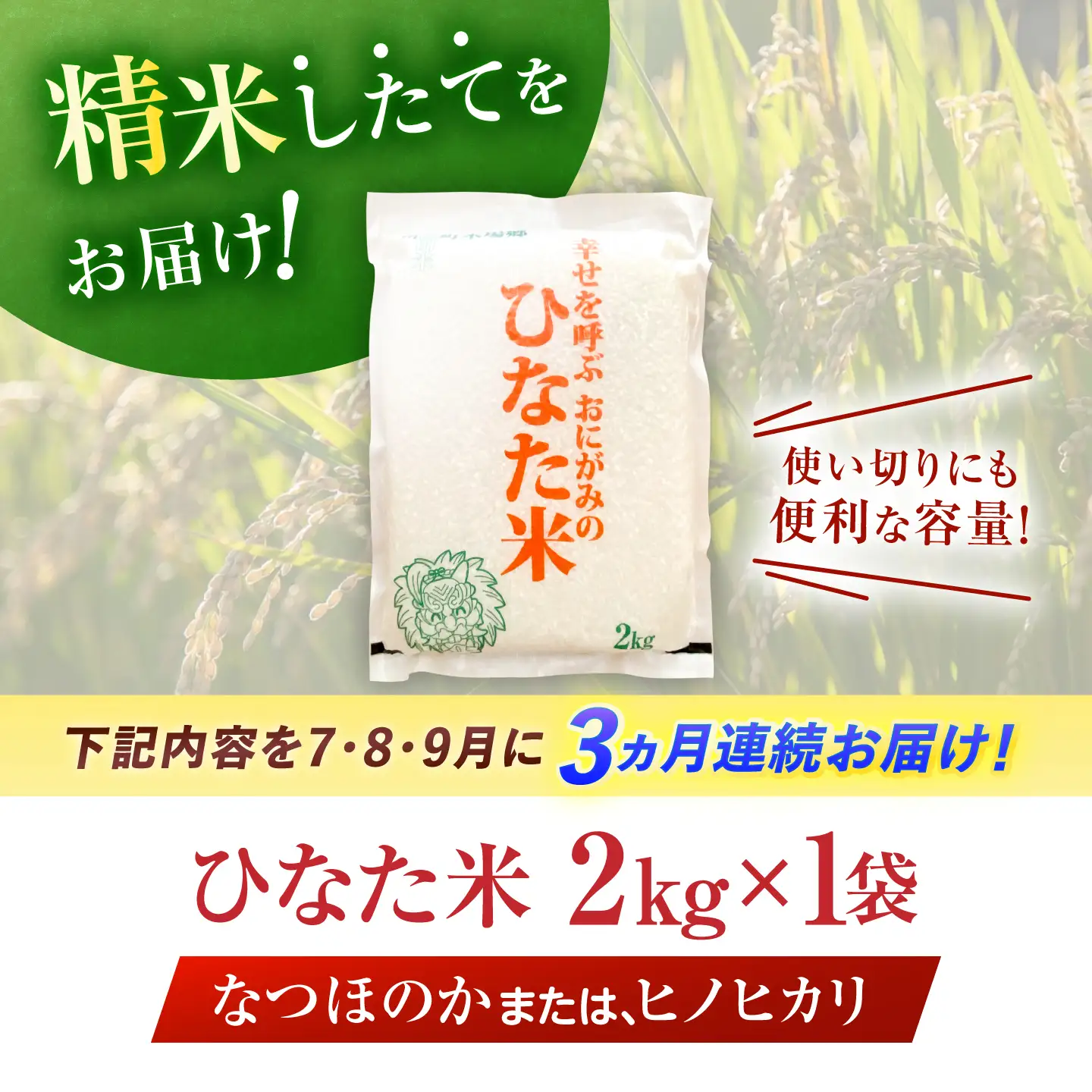 棚田米 2kg [OCM991] 米