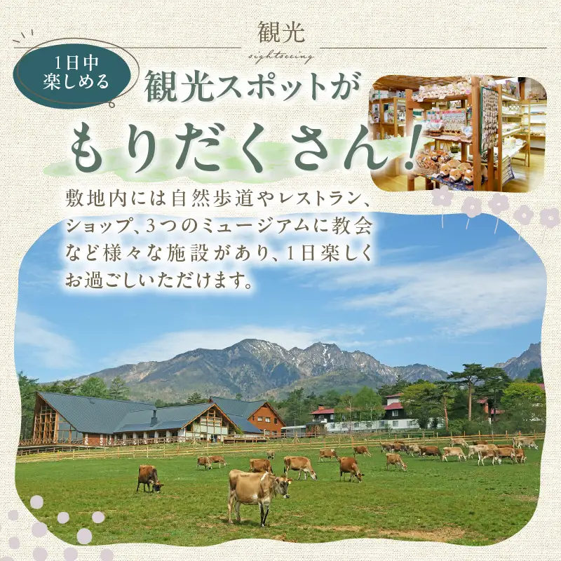 清泉寮 ホテル＆コテージ 宿泊補助券 (15,000円分) [h111]