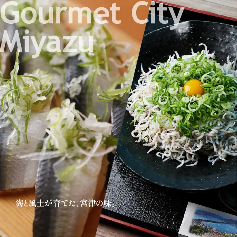 【京都ツアー】 宮津市 後から選べる旅行Webカタログで使える！旅行クーポン（60,000円分）碧海・松風・神話の地、天と地が繋がる旅へ。旅行券 宿泊券 飲食券 体験サービス券 myz00 myz11 myz15