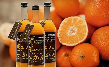 淡路島ギュッとみかん　720ｍL（4本入り）