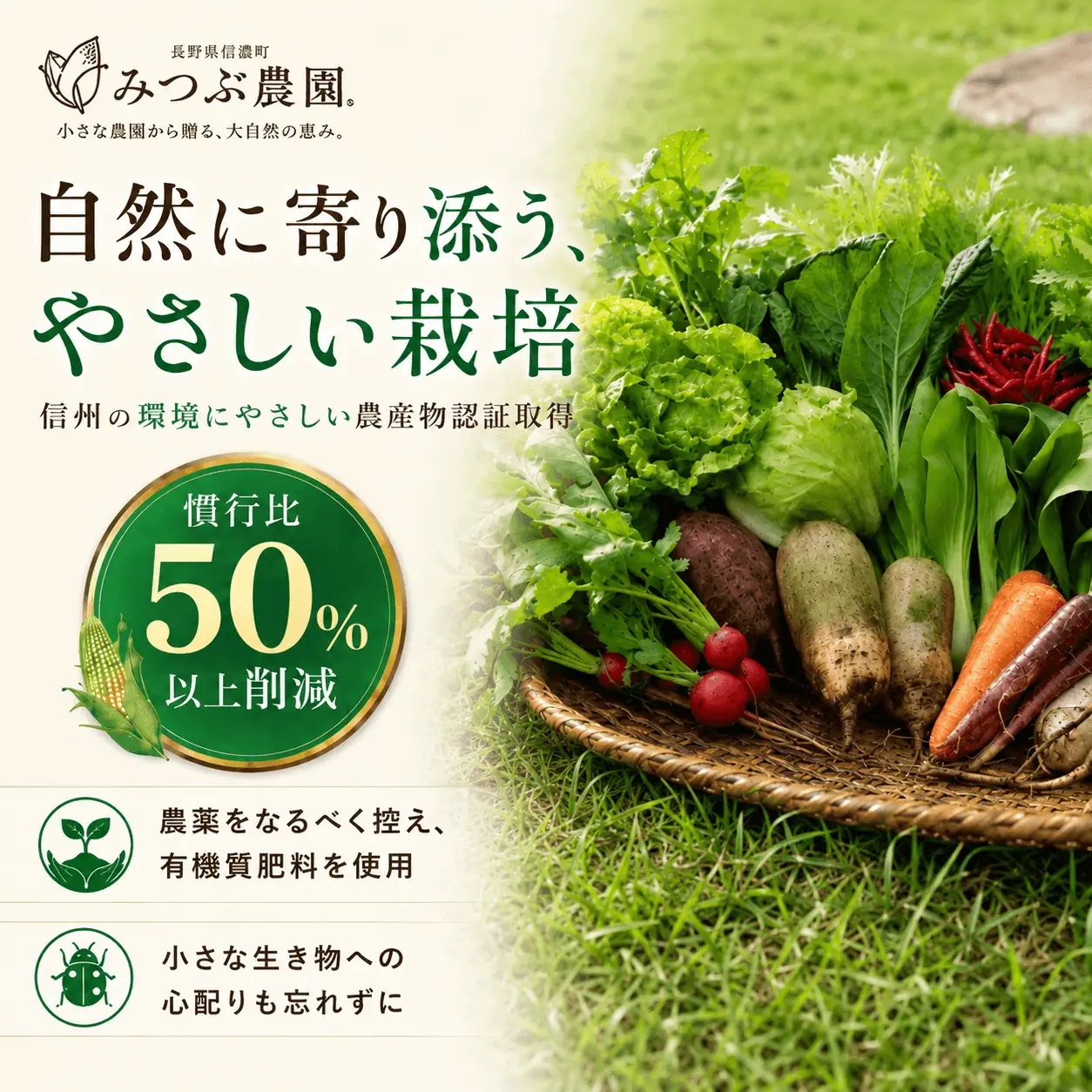 朝採れ極甘とうもろこし5本セット みつぶ農園【長野県信濃町・数量限定】
