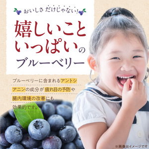 福岡県産 ブルーベリー生果 800g_ブルーベリー 生果 80g × 10パック 計 800g 直送 旬 完熟ブルーベリー アントシアニン 生の果物 使いやすい 腸内環境改善 個包装 冷凍保存 シャーベット アイス ヨーグルト アレンジ フルーツ デザート 果物 福岡県 久留米市 お取り寄せ 送料無料 〔Fx004〕
