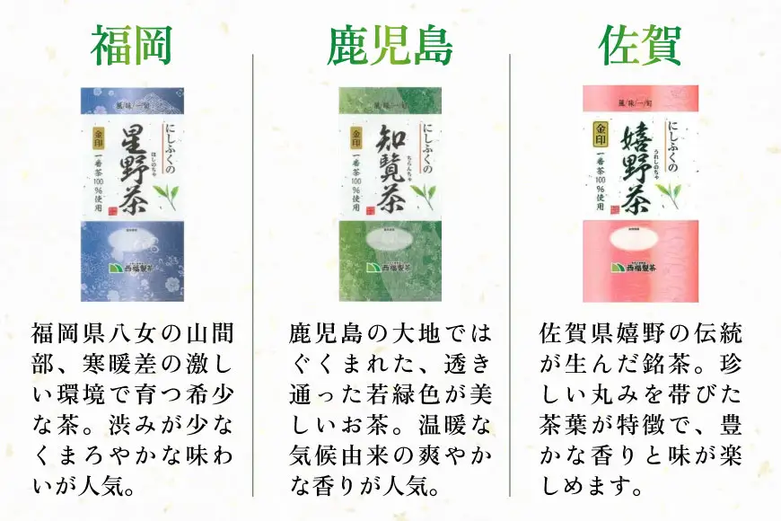 緑茶 飲み比べ 九州 一番摘み 銘茶 5種 各2本 [um40azo790004] お茶