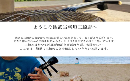 本蛇皮強化張り三線ソフトケースセット【新垣三線店】