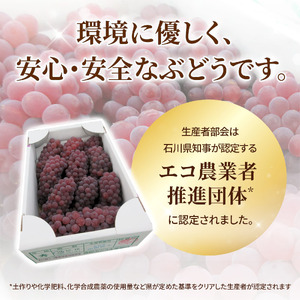 【先行予約 2026年収穫分】高松ぶどう デラウェア 約2kg入り（およそ9～10房） 1箱【配送不可地域：北海道・沖縄県・離島】｜ぶどう フルーツ 果物
