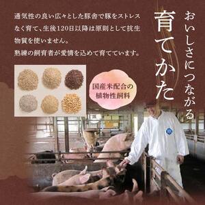 金華豚 焼肉用 F2Y-0465