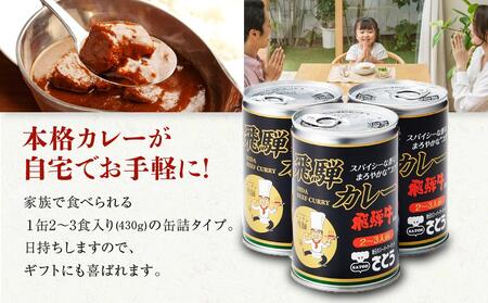 飛騨牛 入り カレー 10缶 キッチン飛騨 監修 さとうオリジナル ビーフ