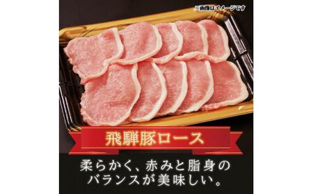 飛騨牛 & 飛騨豚 焼肉セット 合計1kg  ( 飛騨牛カルビ 300g ・ 豚ロース 300g ・ 豚バラ 400g ) ファミリーストアさとう CY030VC13