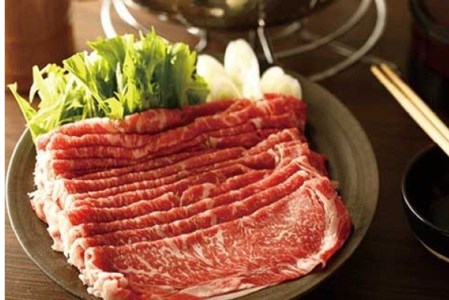 【矢野畜産】熊本県産 褐毛和種 あか牛 丸ごと一棟セット 8種 計4150g 4.15kg 産地直送 くまもと 国産 熊本 阿蘇 和牛 あかげわしゅ 赤身 サシ ロース 肩ロース 部位ミックス 手ごね生ハンバーグ ステーキ 焼肉 すき焼き・しゃぶしゃぶ 矢野畜産 にくやの 老舗 贈答 ギフト 阿蘇の自然の宝物 チルド 冷凍配送