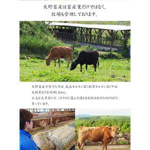 【矢野畜産】産地直送 くまもと 和牛 カルビ 肩ロース 各500g 合計1kg 熊本 阿蘇 国産 あか牛 褐毛和種 あかげわしゅ 赤身 サシ 焼肉 焼きしゃぶ BBQ 矢野畜産 にくやの 老舗 おうちごはん おうち時間 通販 贈答 ギフト 阿蘇の自然の宝物