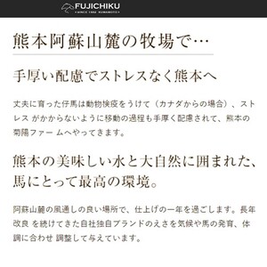 【フジチク】ふじ馬刺し 上赤身80g×4 国内肥育 熊本肥育 熊本と畜 新鮮 熊本と畜 希少 馬刺し 馬肉 高級部位 320g 専用タレ ショウガ付き 冷凍 真空パック ISO22000取得 UKAS認証 牧場直送 ギフト
