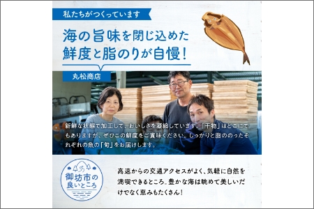 【0001-2】紀州特産　干物詰合せ