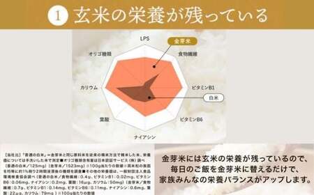 【定期便】BG無洗米・金芽米にこまる 5kg×6ヵ月 （毎月）計量カップ付き 令和7年産 6ヶ月 計30kg 東洋ライス 健康 島根県 安来市 【価格改定】【90-SS-12】