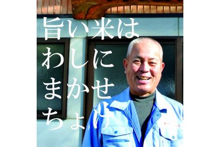 安来のお米【定期便】こりゃう米（まい）玄米 5kg×3回（隔月） 令和7年産 コシヒカリ