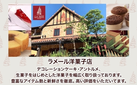 寒川町特産品 焼きちょこ 20個入り しっとり 濃厚  チョコレート 焼き菓子 焼菓子 リッチ 滑らか チョコ ショコラ デザート スイーツ ラメール洋菓子 ギフト 贈答品 プレゼント 送料無料 神奈川県 寒川町