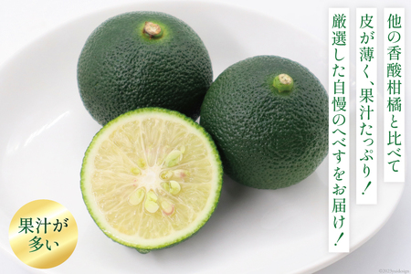 【期間限定発送】 黒木へべすファーム自慢の《露地》 へべす 2kg [黒木へべすファーム 宮崎県 日向市 452060742]