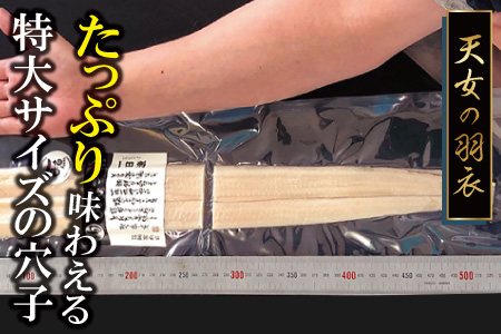 特厚 特大 穴子 一夜干し 2尾 50cm前後【あなご一夜干し 50cm前後 2尾 2枚 穴子干物 穴子 アナゴ あなご 干物 一夜干し 特大サイズ 無添加 天日塩 新鮮 冷凍 真空パック 贈答 父の日 母の日】