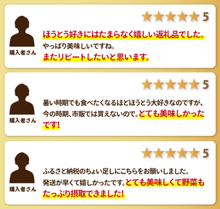 かくし甲斐路生ほうとう 4人前（2人前×2）