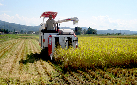 75-7N101B新潟県長岡産コシヒカリ10kg（特別栽培米）【2026年5月発送】