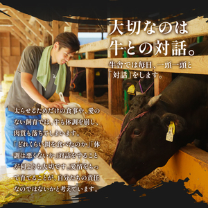 松阪牛サーロイン1枚(200g×1枚)　[松阪牛 サーロイン]