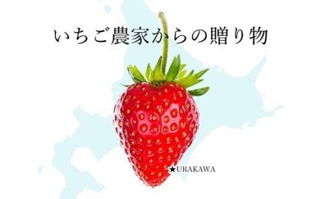 果肉55%「夏いちごアイス(6個)」[22-325]