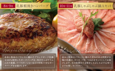 Z04-81 寄附額改定↓↓ 乳豚バラエティ定期便(隔月・年6回) 豚肉 