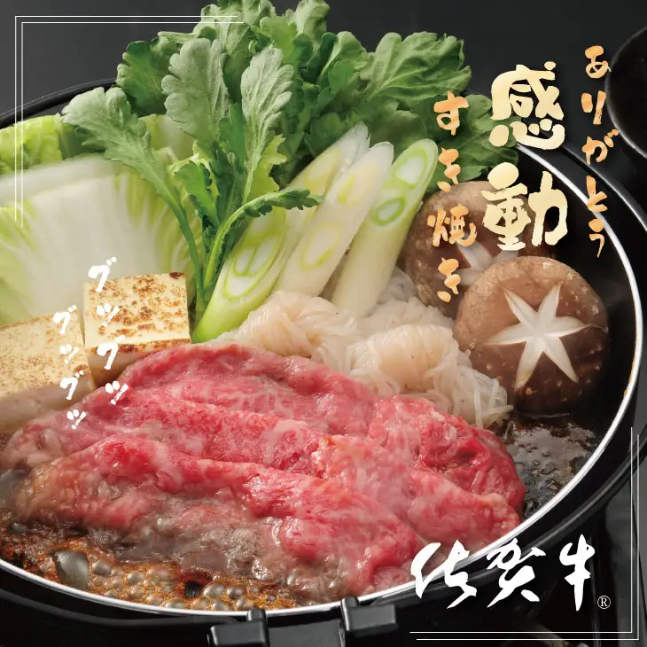 【定期便】 (年6回/奇数月お届け) 佐賀牛 牛肉 定期便 Q108-002