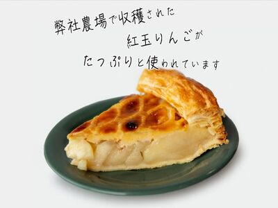アップルパイ 青森 パイ専門店が作った 紅玉 りんごのアップルパイ 22cm パイ 専門 りんご アップル りんごパイ スイーツ お菓子 菓子 洋菓子 焼き菓子 デザート おやつ 取り寄せ お取り寄せ フルーツ 果物 お土産 青森県 冷蔵 ※配送地域限定