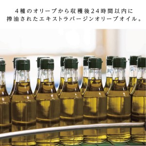 オリーブオイル 定期便 6ヶ月 有機栽培 エキストラバージン オリーブ オイル ブレンド 2本