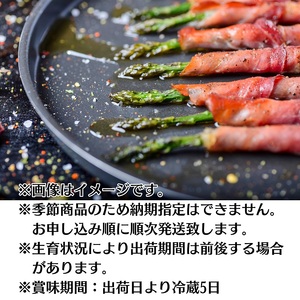観音寺市産アスパラガス詰合せ 約900g 野菜 