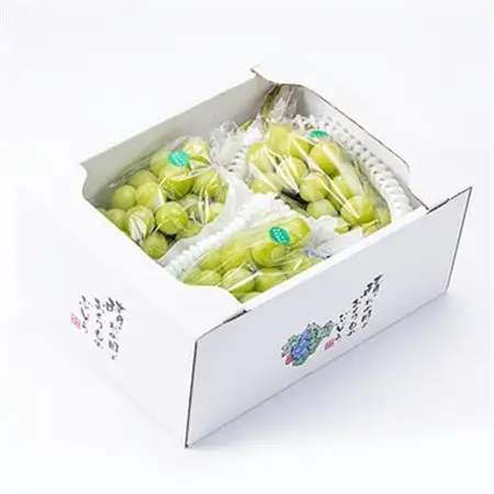 岡山県産シャインマスカット2kg(2～4房)_果物・フルーツ ぶどう・マスカット  ブドウ 葡萄 _【配送不可地域：離島】【1112965】