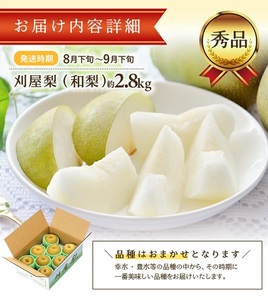 SA2951　酒田の美味しい刈屋梨(和梨) 秀品　約2.8kg(6～9玉入)　品種おまかせ 