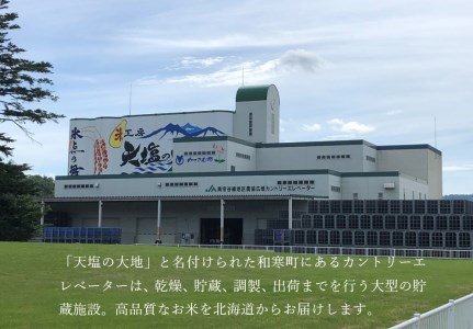 【ふるさと納税】北海道産米 ななつぼし「氷点の舞」10kg(5kg×2袋）