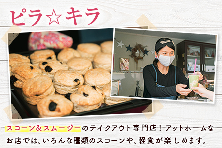 「ピラ☆キラ」のチョコ好きスコーン 8個＆「パパイア王子」のパパイア果実茶 詰合せ（卵・乳製品・白砂糖 不使用）【B433】