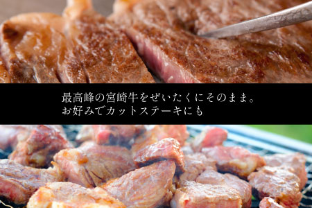 宮崎牛 ロースステーキ 合計500g（250g×2P） 国産 肉 牛肉 ご飯 おかず BBQ ディナー お祝い【C270-30】