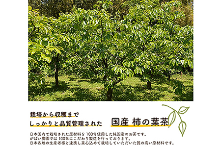 国産 柿の葉茶（3個セット）：B180-011