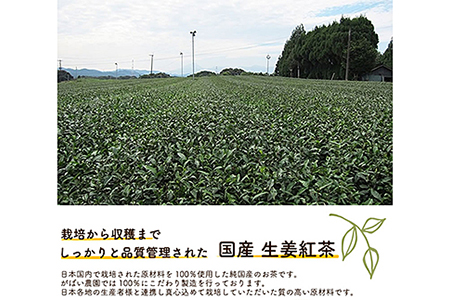 国産 生姜紅茶（3個セット）：B180-008