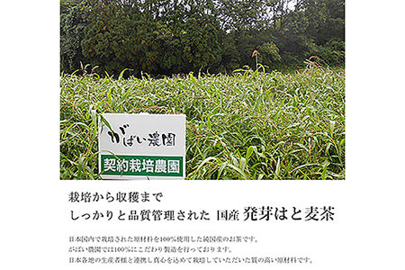 国産 発芽はと麦茶（3個セット）：B180-007