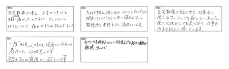 クッション 西川 nishikawa エアー ポータブル L サイズ ブルー P216W クッション