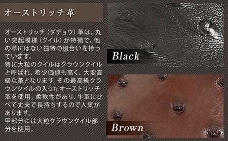オーストリッチ革 ビジネスシューズ 紳士靴 スワローモカ 5cmアップ 4E ワイド No.67 ブラック 雑貨 日用品 シークレットシューズ  BN002 25.5cm